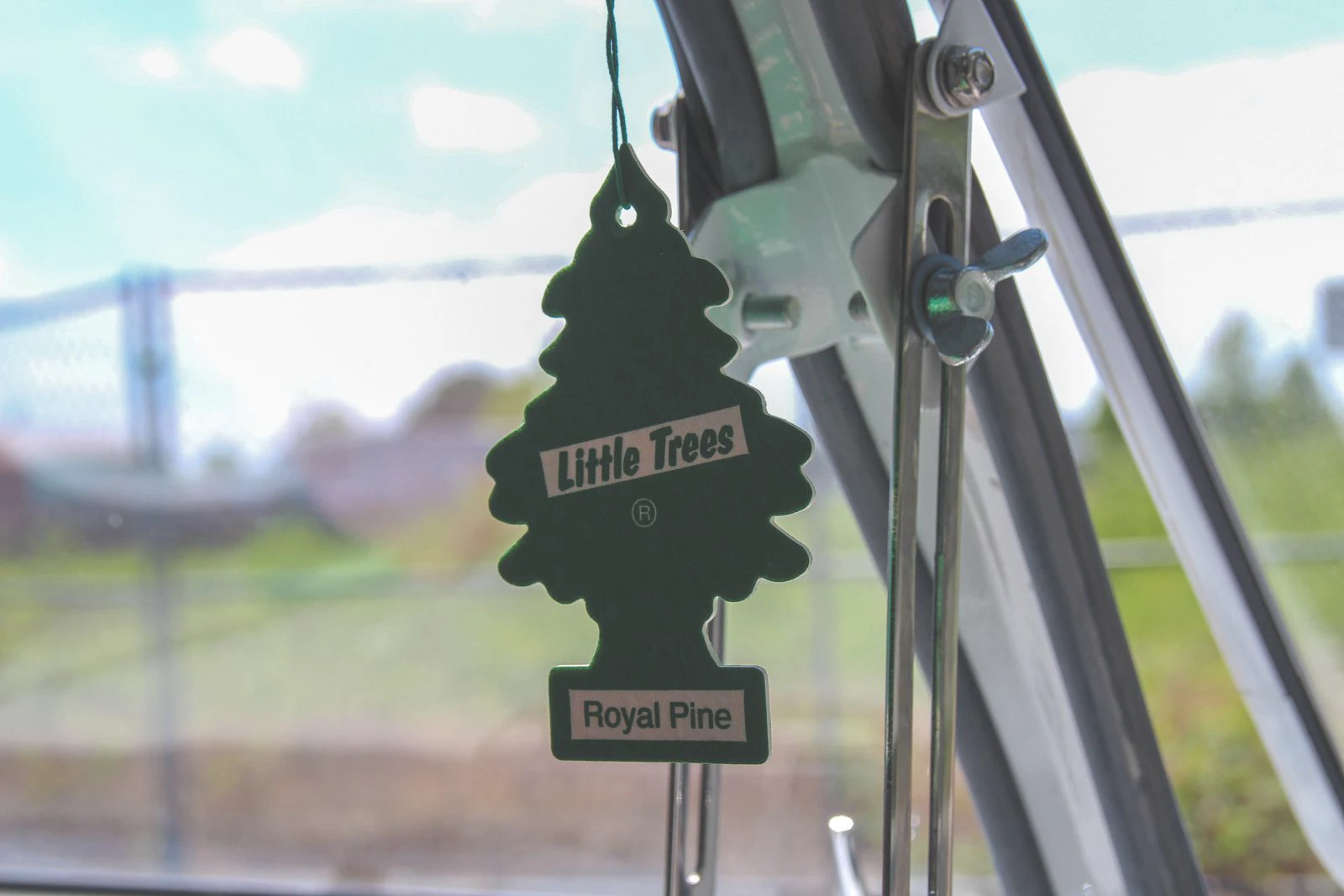 Interior of a car with a Little Tree air freshener