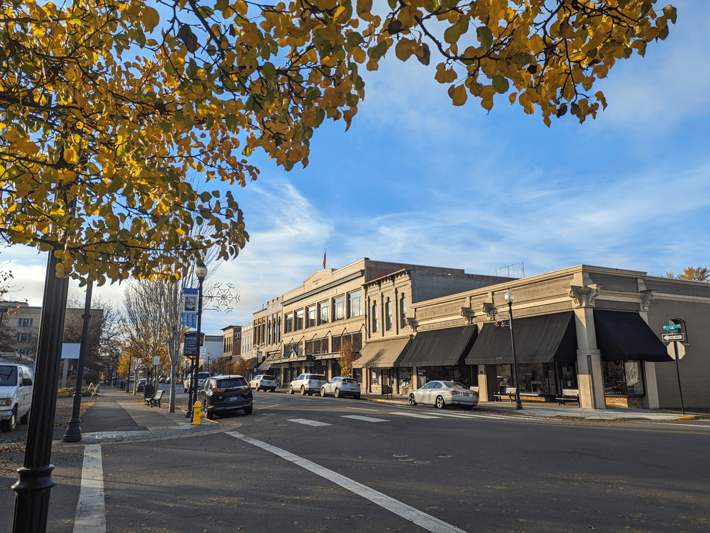 15 Must-Support Albany Shops for Small Business Saturday