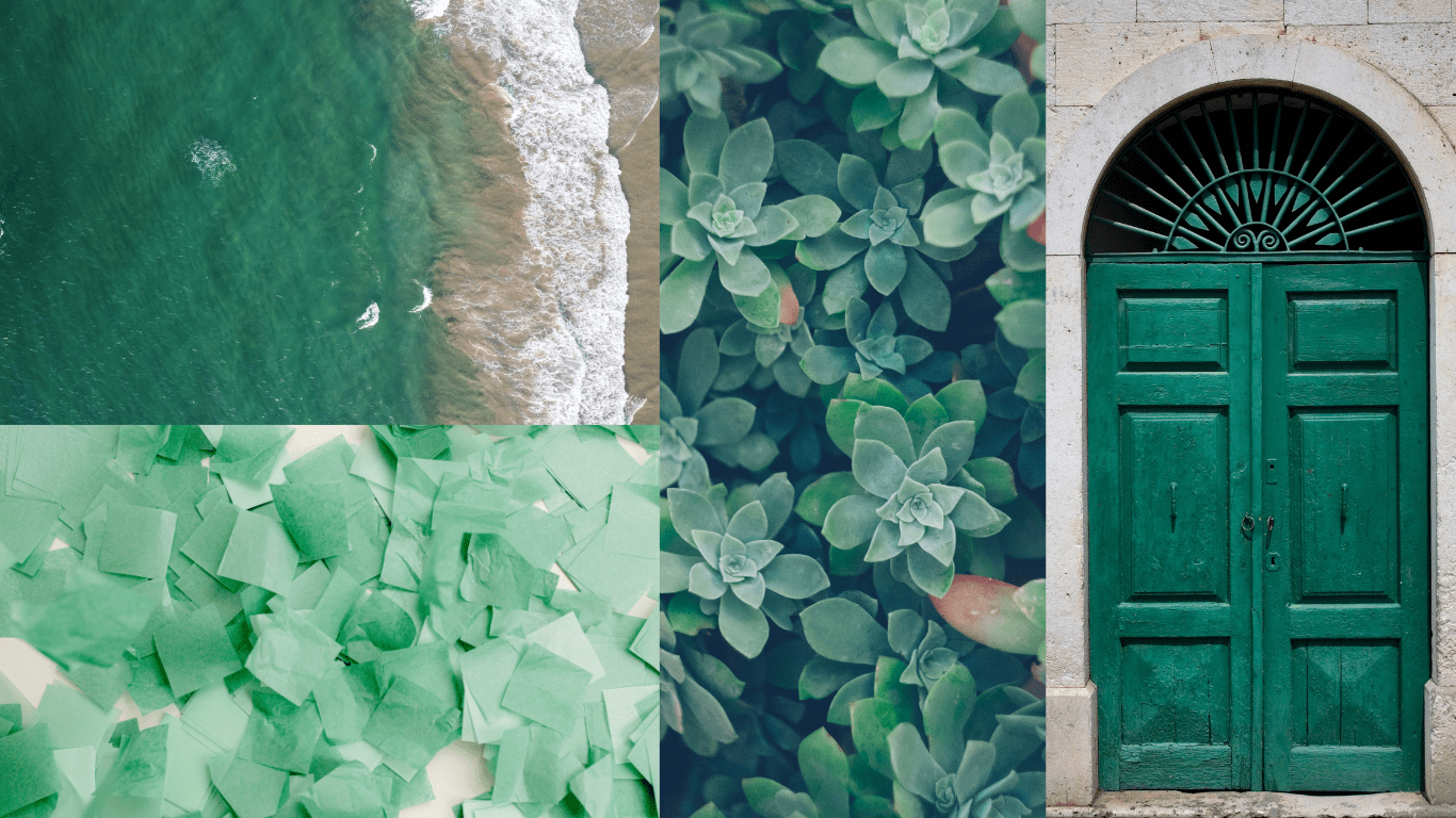 Spring color emerald green featuring a body of water, paper confetti, succulents, and a green door.