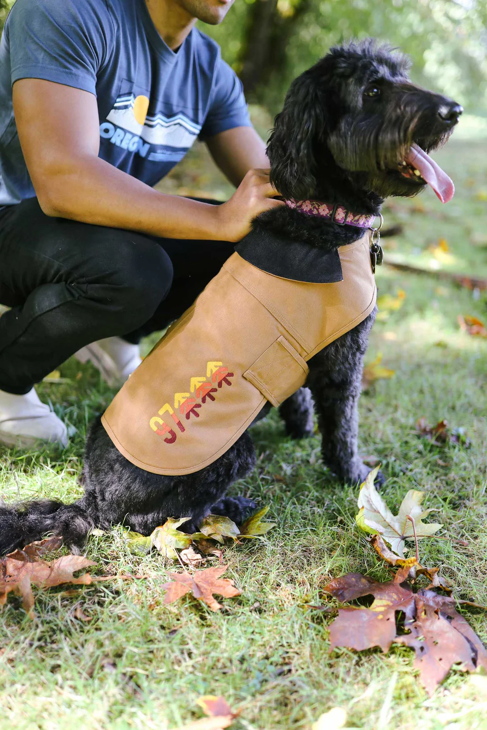 Branded Pet Essentials: Cathartt Dog Jackets 