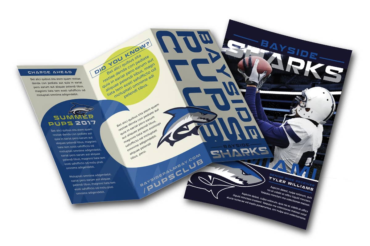 Two Retractable Promotion Banners Branded for No Dinx