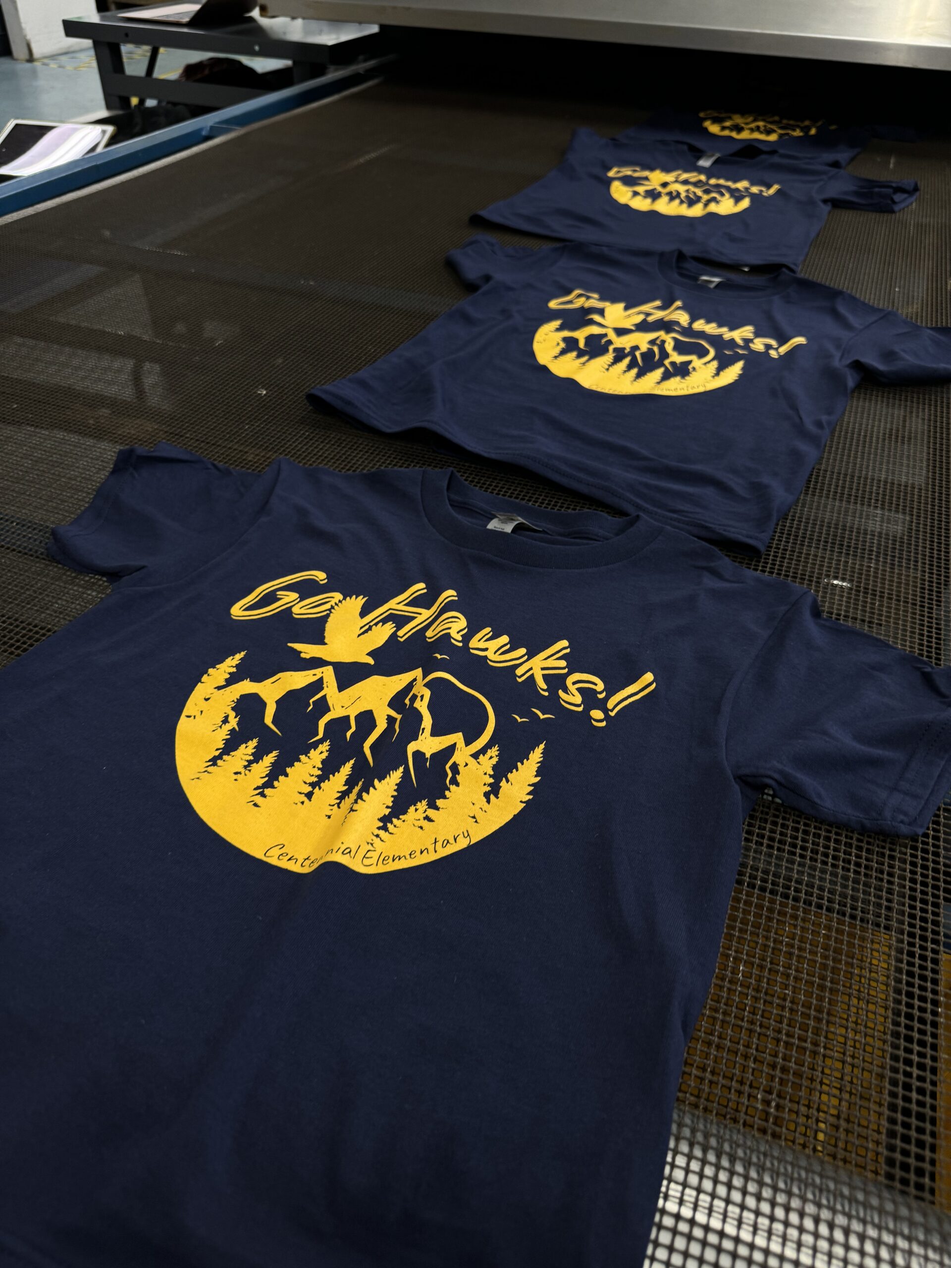 Go Hawks Screenprint
